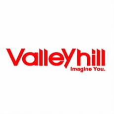 Воблеры Valley Hill (Волли Хилл)