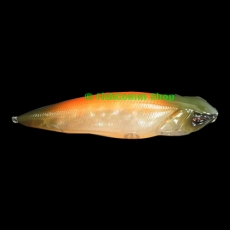 Топвотер Rosso Corsa Medium Claws Payao-jr color 03 Tropical-Giant-Fish Топвотер Rosso Corsa Medium Claws Payao-jr color 03 Tropical-Giant-Fish