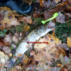 Виброхвост Chimera Slade Minnow 4" 100 мм. (5 шт.) цвет D155