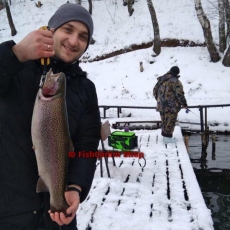 Сумка рыболовная SFT Wonder Trout Attack L зеленая со стойками (40 х 21 х 28 см.)
